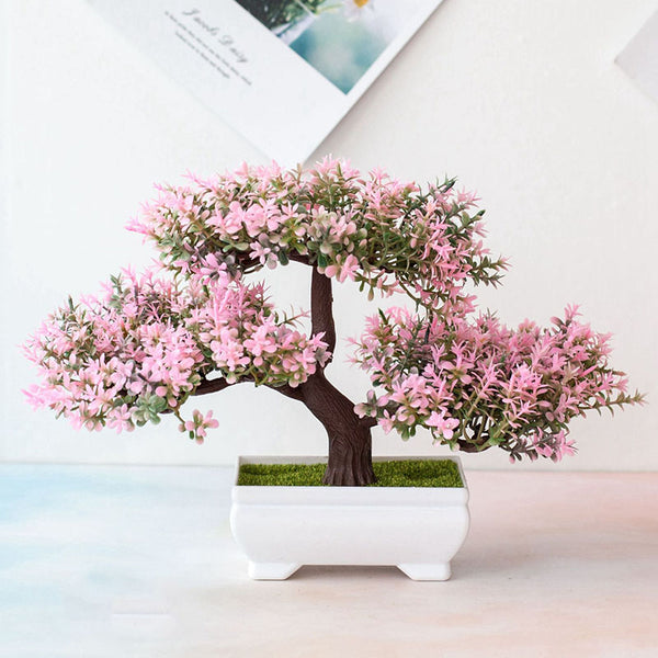 Potted Bonsai