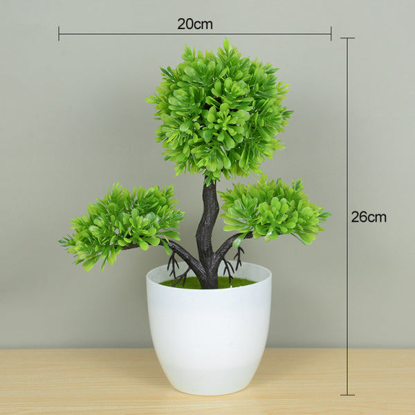 Potted Bonsai
