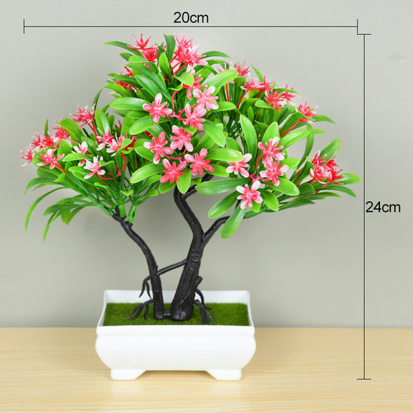 Potted Bonsai