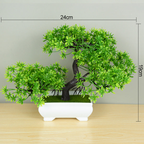 Potted Bonsai