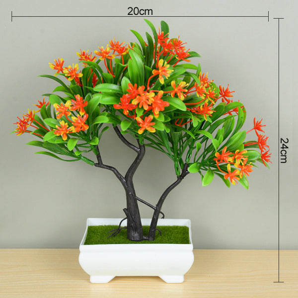 Potted Bonsai