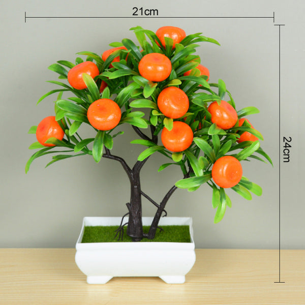 Potted Bonsai