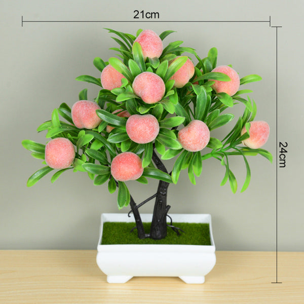Potted Bonsai