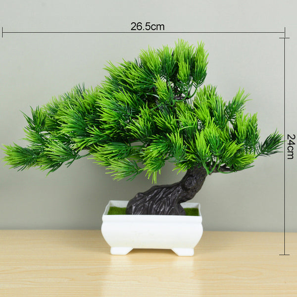Potted Bonsai