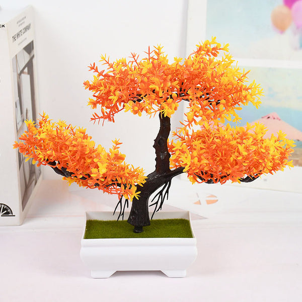 Potted Bonsai