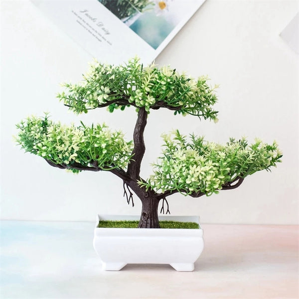 Potted Bonsai