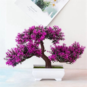 Potted Bonsai