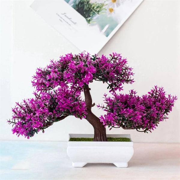 Potted Bonsai