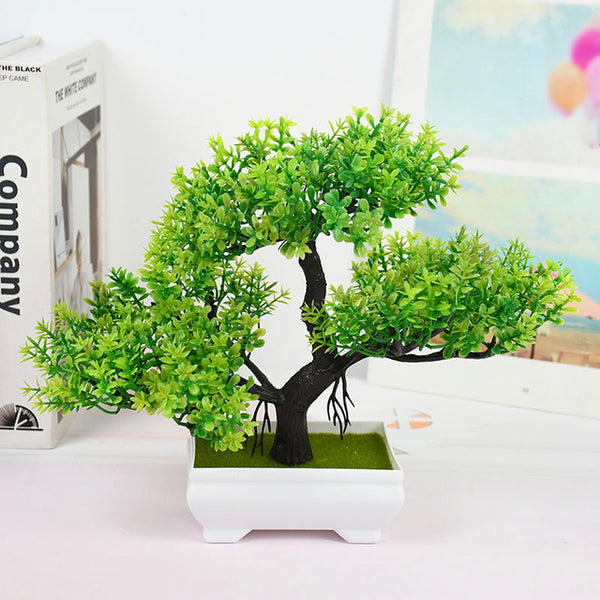 Potted Bonsai