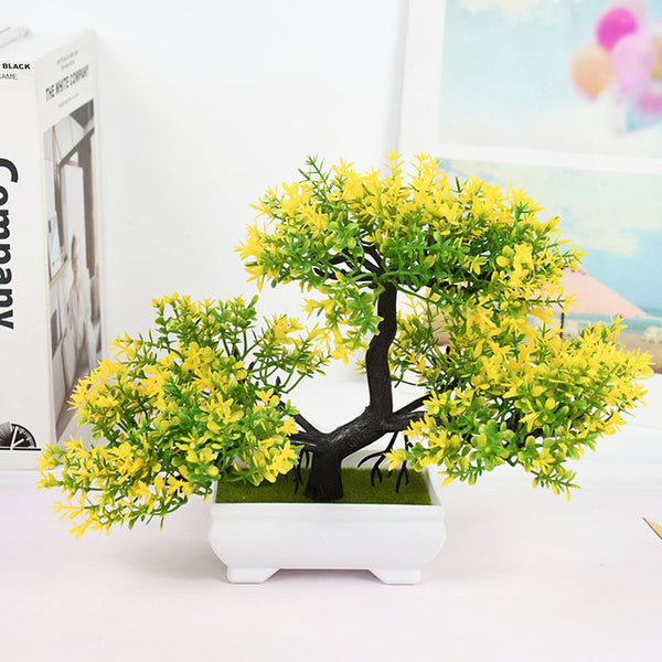 Potted Bonsai
