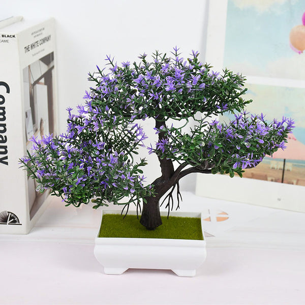 Potted Bonsai